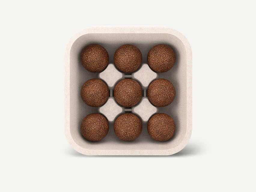 CoffeeB Hazelnut - Image 3